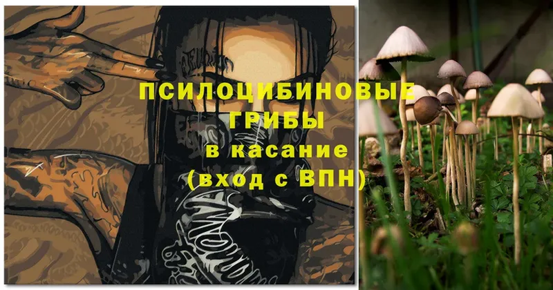 Псилоцибиновые грибы Magic Shrooms  kraken   Бокситогорск 